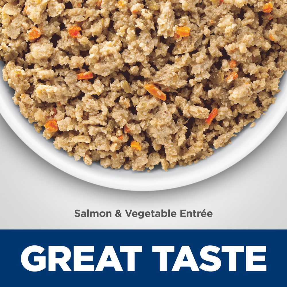 Hill's Science Diet Adult Sensitive Stomach & Skin Salmon