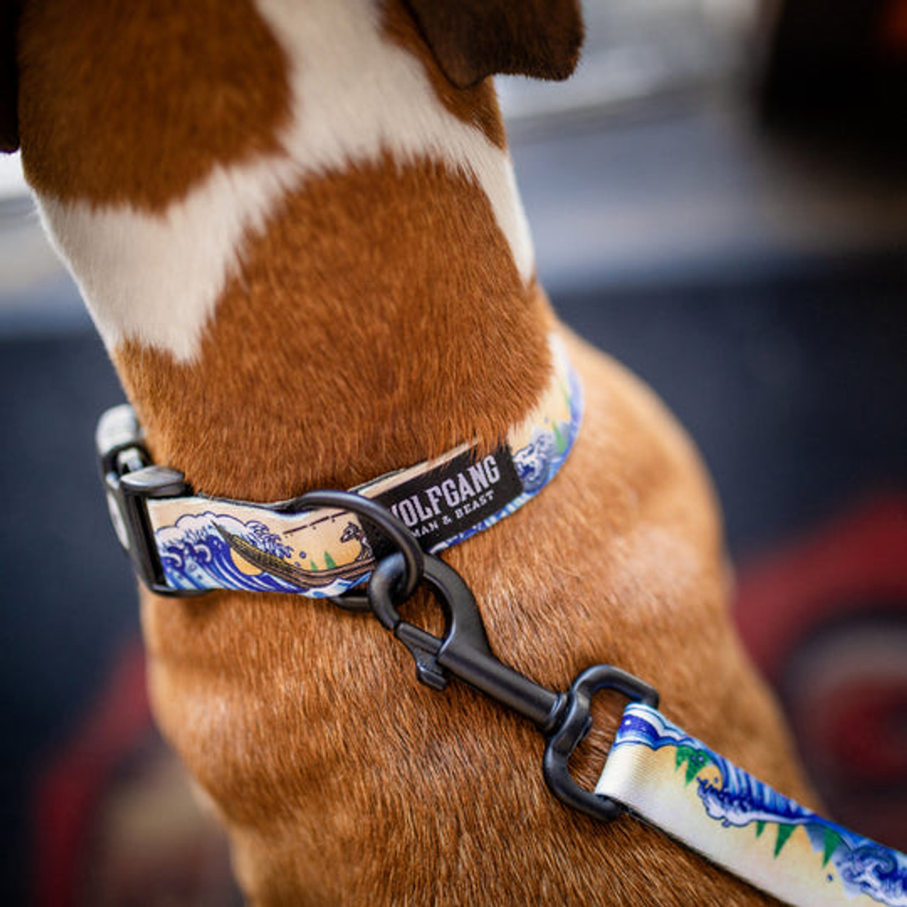 Wolfgang hot sale dog collars