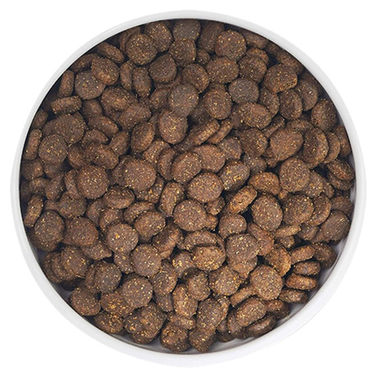 Zignature Select Cuts Trout & Salmon Meal Formula 25 lb