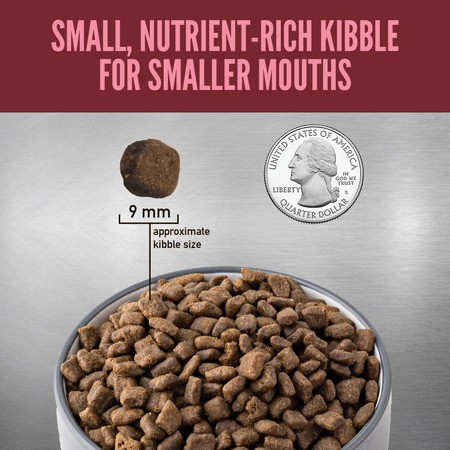 Orijen Small Breed Dry Dog Food lb - Main Image