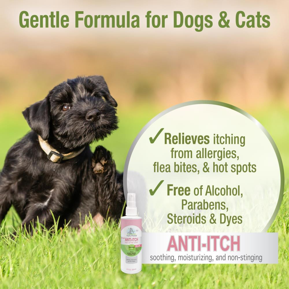 Four Paws Healthy Promise Pet Aid Fast-Acting Anti-Itch Spray for