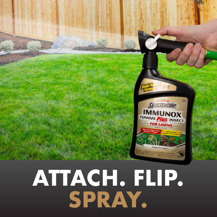 Spectracide Immunox Fungus Plus Insect Control for Lawns (Ready-To