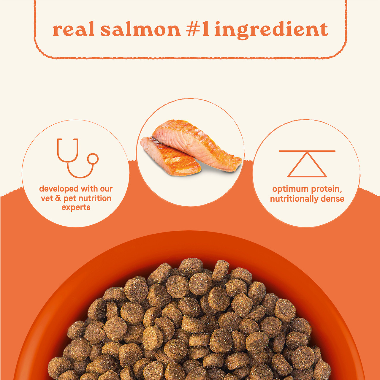 Canidae All Life Stages Real Salmon Ancient Grains Recipe Dry