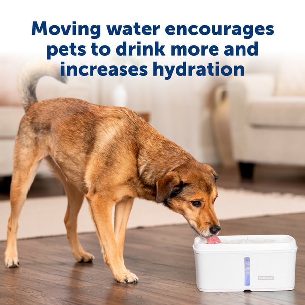 Petsafe Dual Filtration Viva Pet Fountain 140 oz