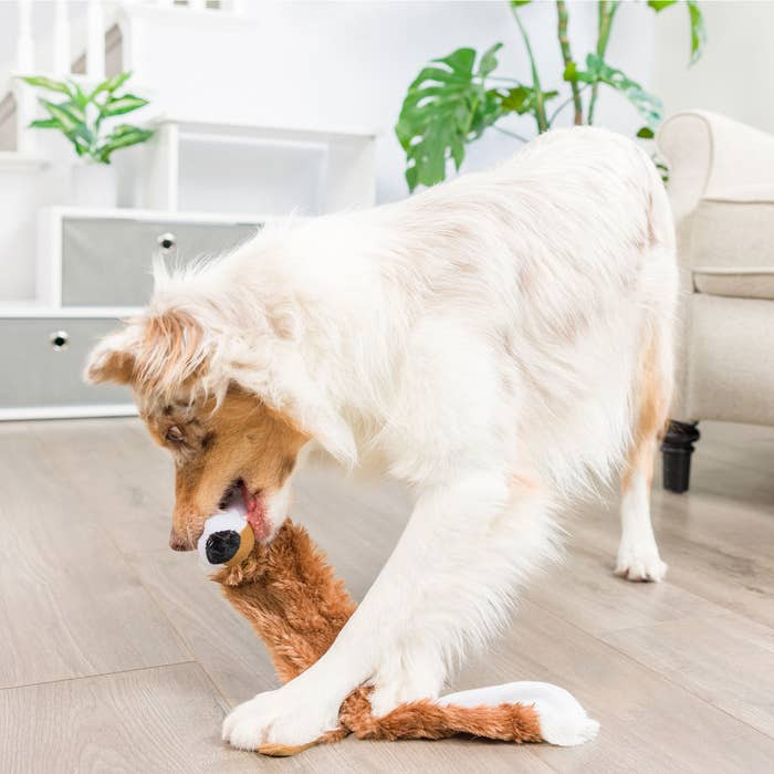 Hyper Pet Critter Skinz Fox Dog Toy - Large