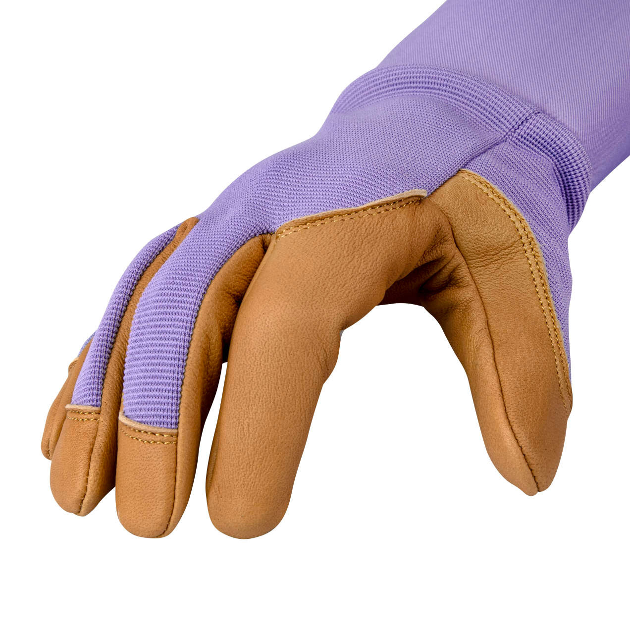Birds Choice Bellingham Nitrile Touch Gloves Bellingham ECO Master