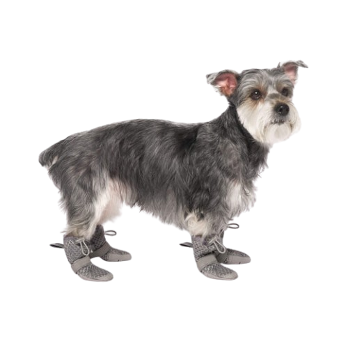 Canada Pooch Hot Pavement Dog Boots