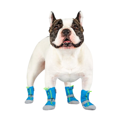 Canada Pooch Hot Pavement Dog Boots - Main Image