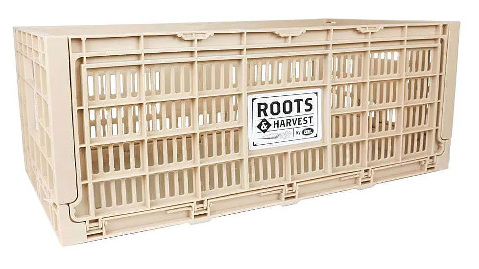 Collapsible Egg Crate - Grange Co-op