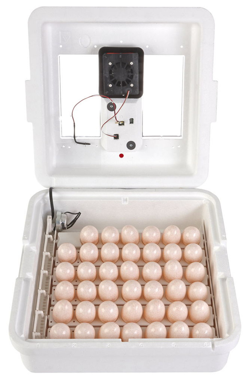 Egg Incubator Thermometer, Large LCD Display Screen Egg Incubator