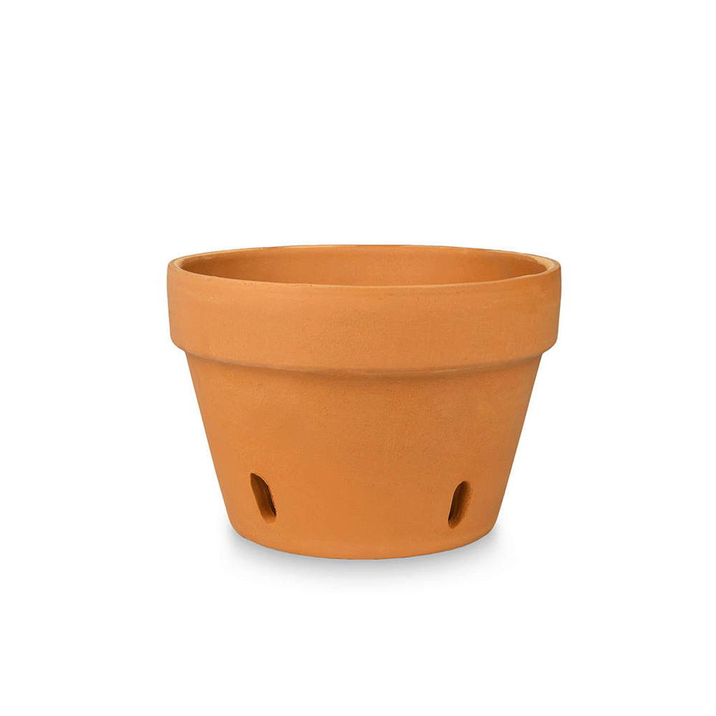 New England Pottery Terra Cotta Orchid Pot - 6-3/4