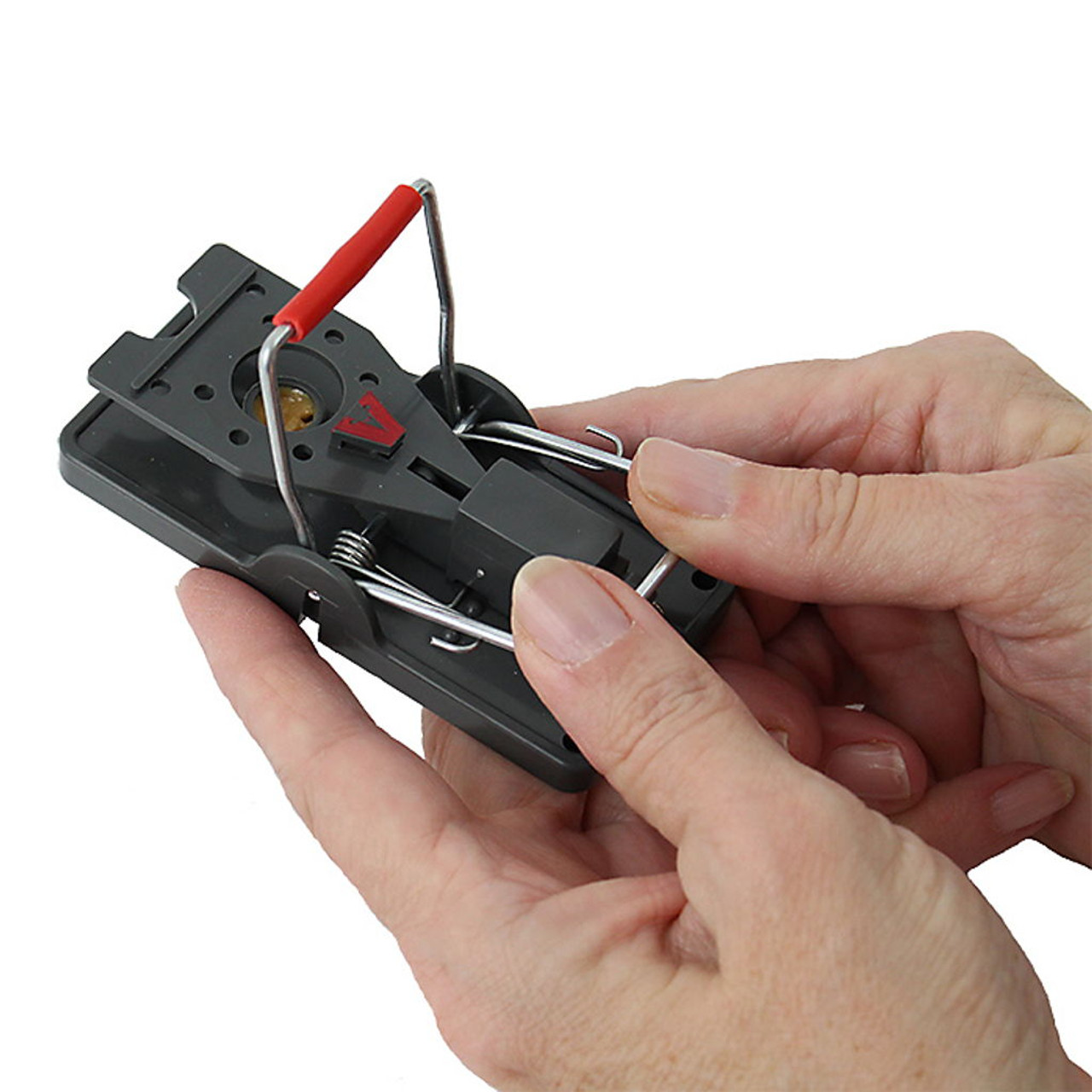 Victor 2-Pack Quick-Kill Mouse Trap