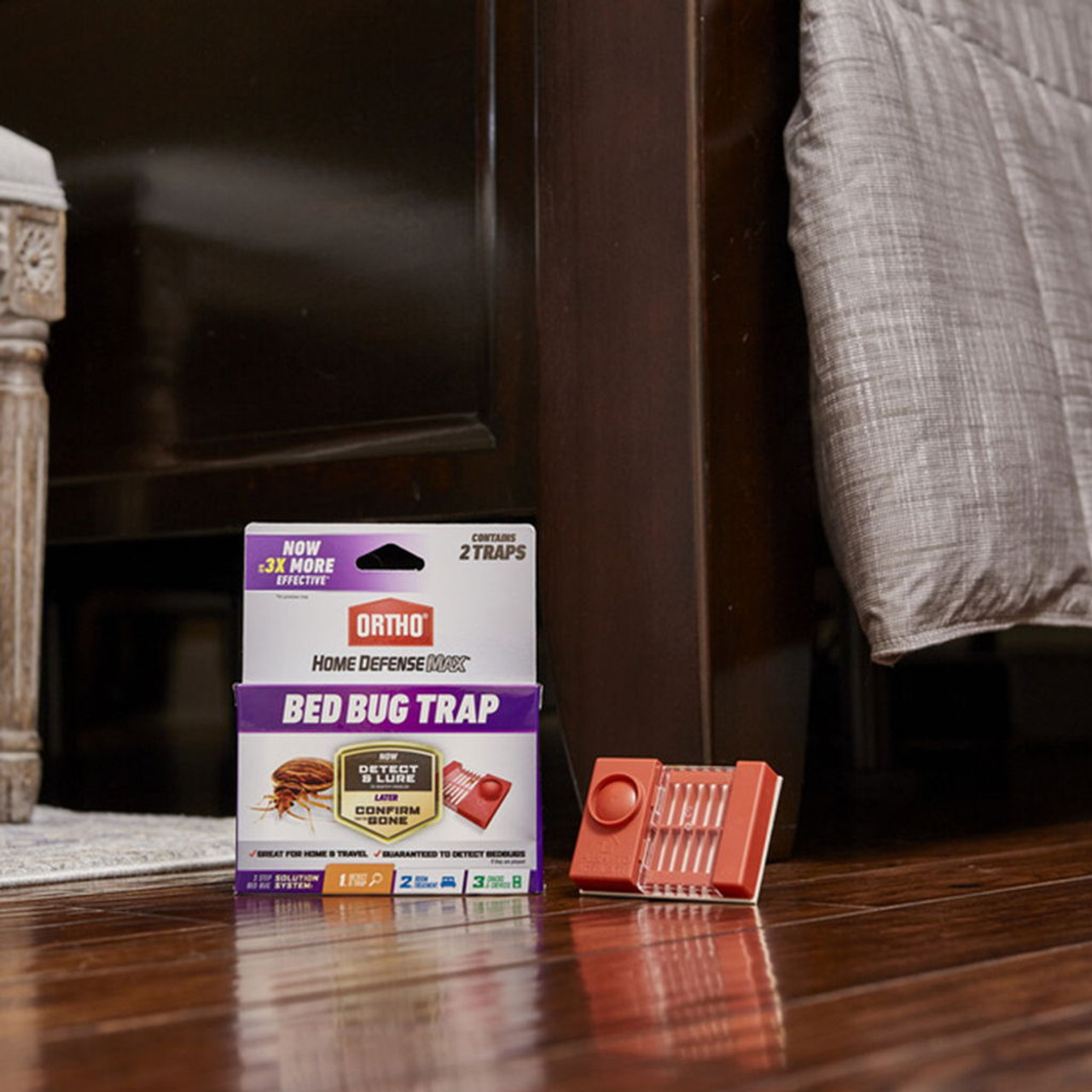 bed bug traps