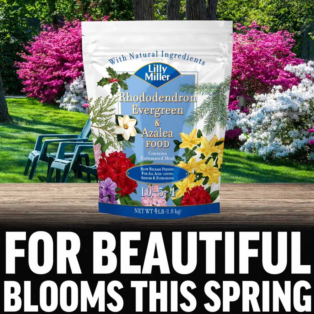 Lilly Miller 10-5-4 Rhododendron Evergreen & Azalea Plant Food - 16 lb