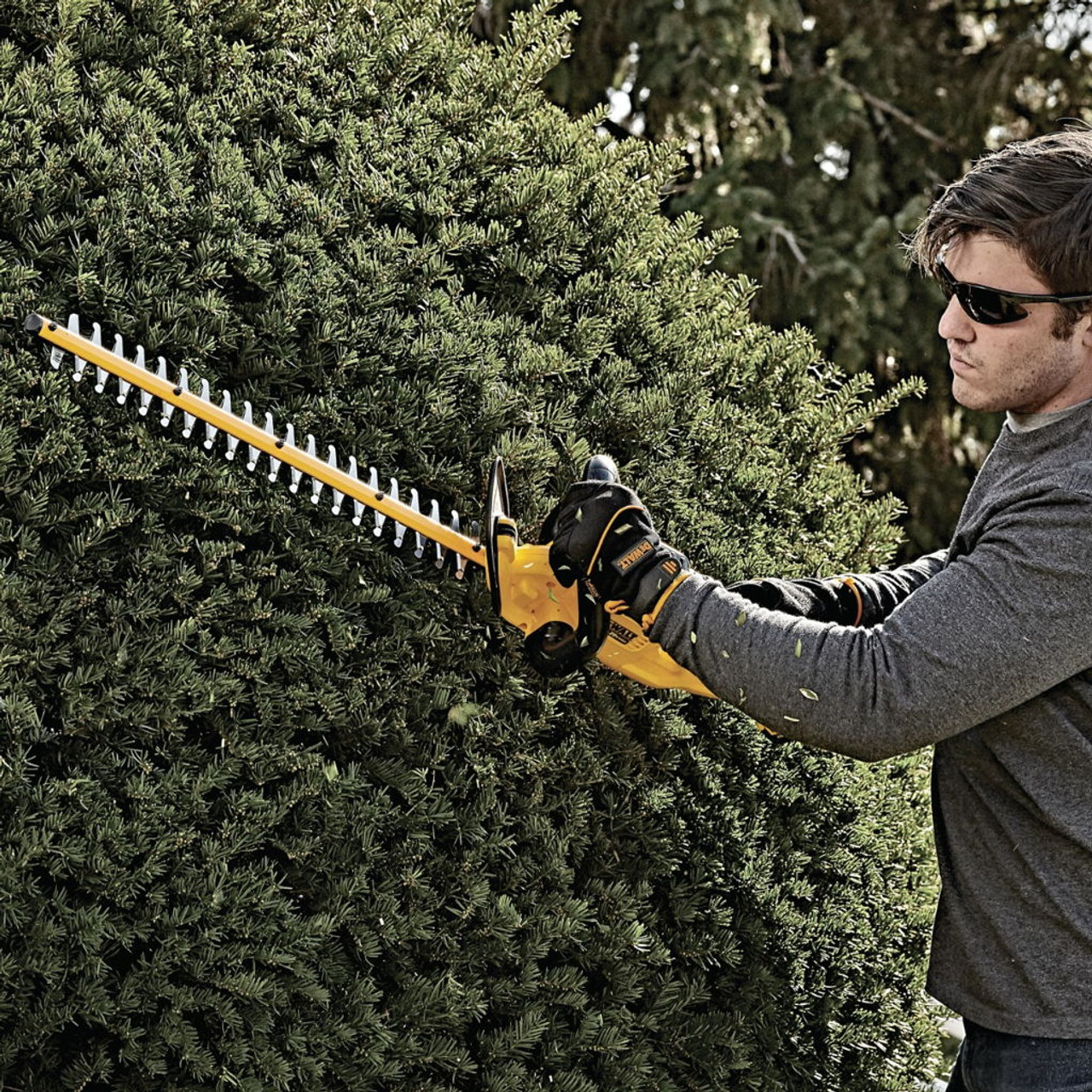 Dewalt hedge shop trimmer cover