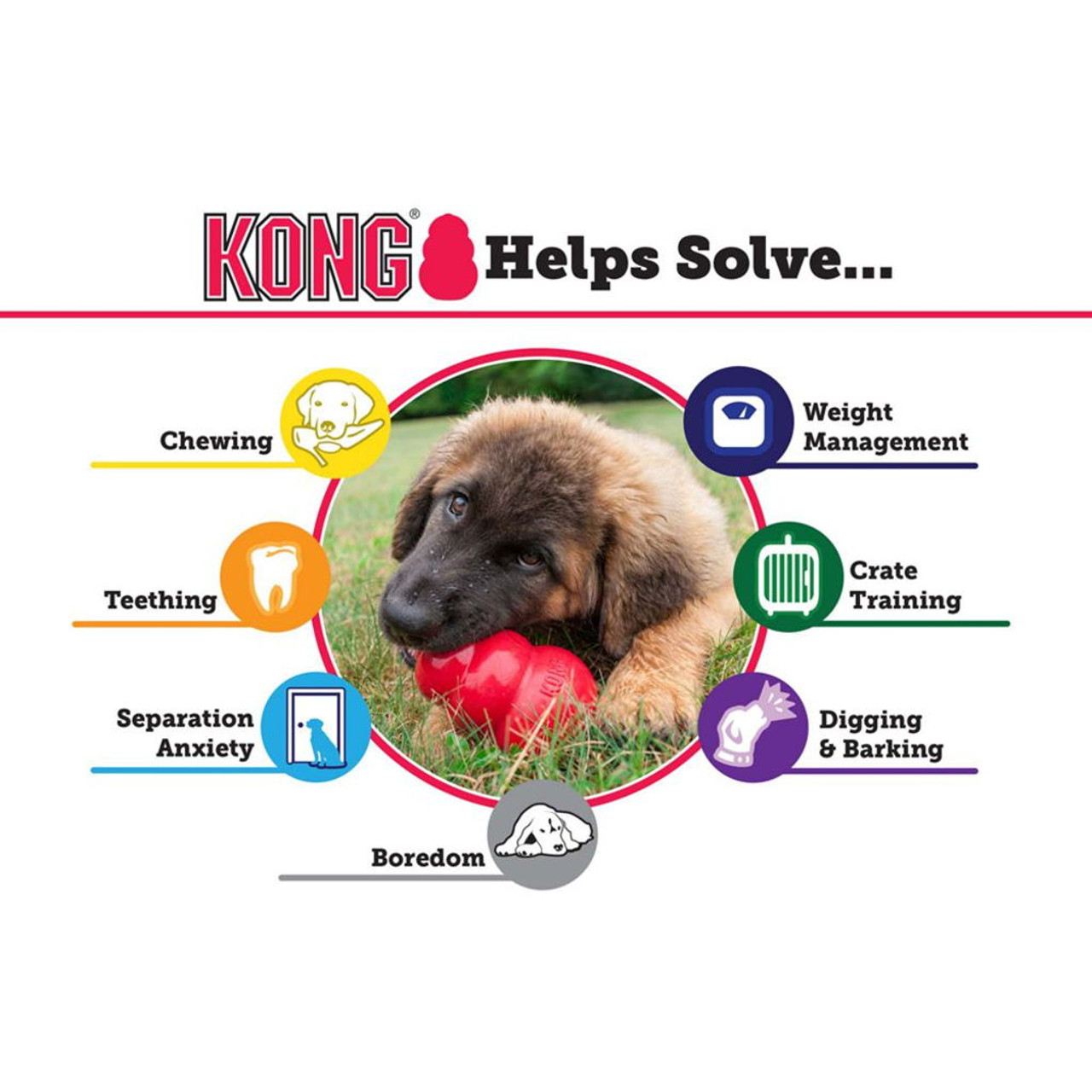KONG® Classic Small Red Dog Toy, 1 ct - Kroger