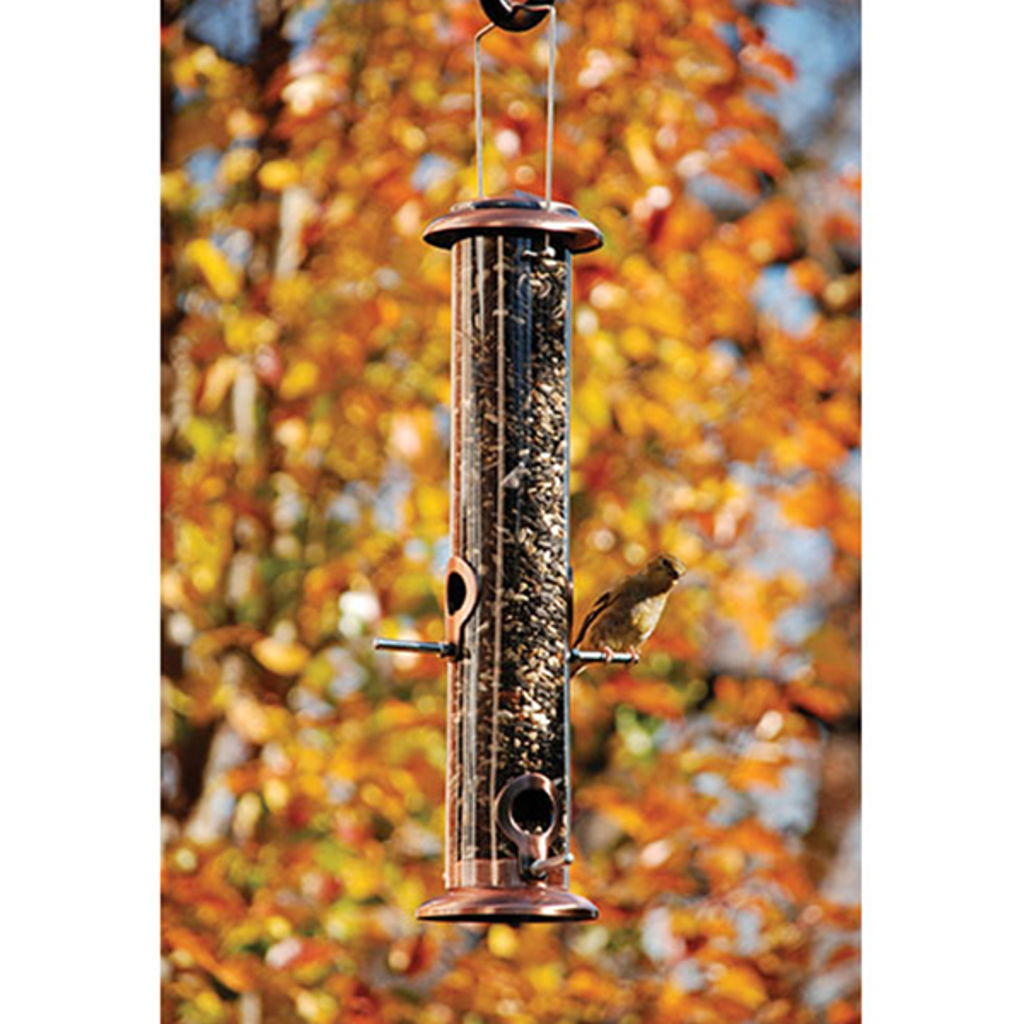 Audubon 15
