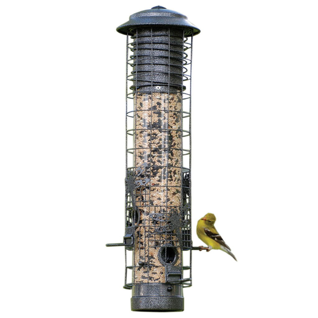 Audubon Dragonfly Squirrel-Resistant Tube Feeder