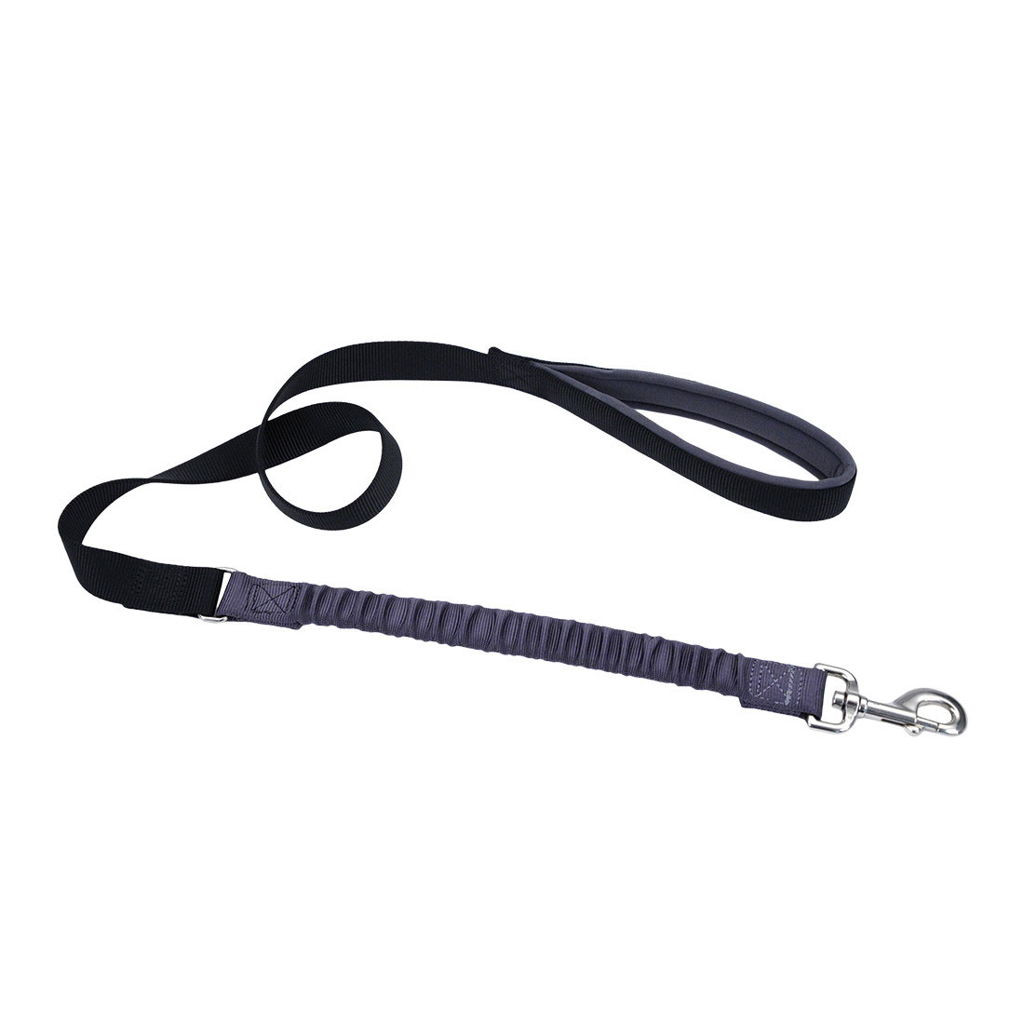 Coastal Pet Black Bungee Dog Leash - 1