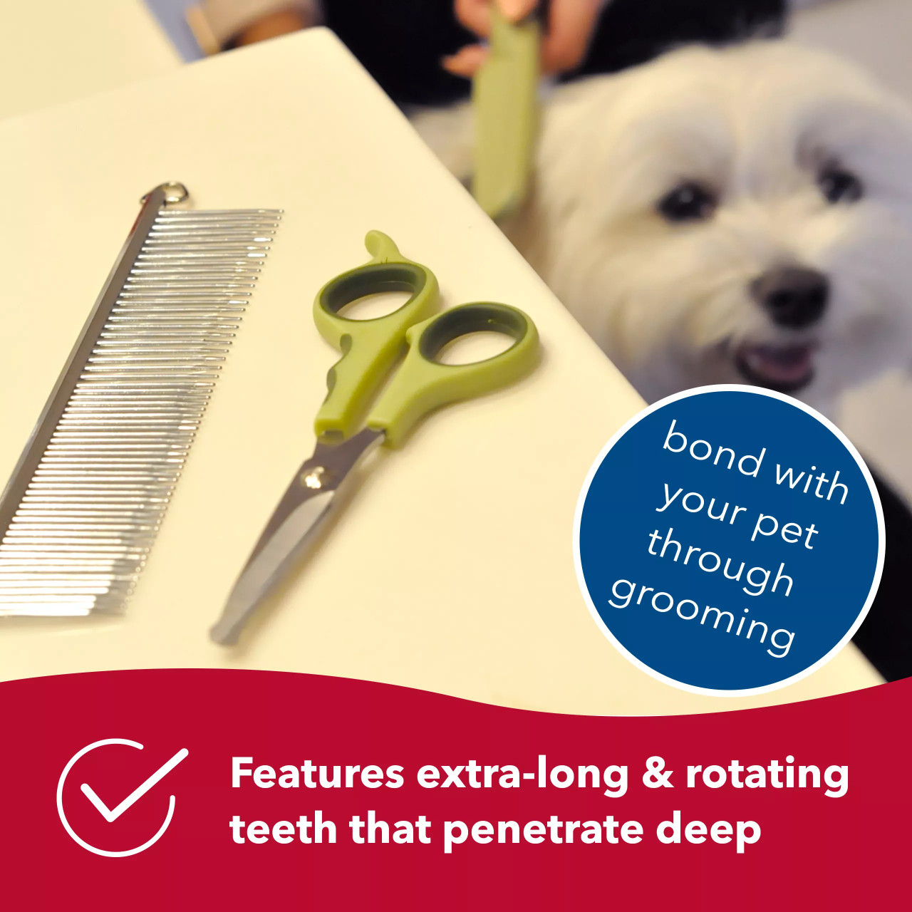 Photo inspiration: Visual Reference: Dog Undercoat Coastal Pet Safari Dog Shedding Comb