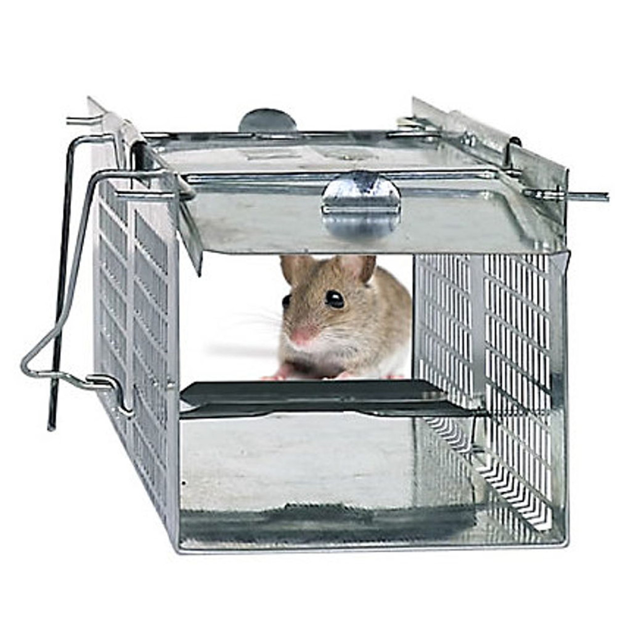 Havahart Live Traps  Traps Mice, Shrews, Voles