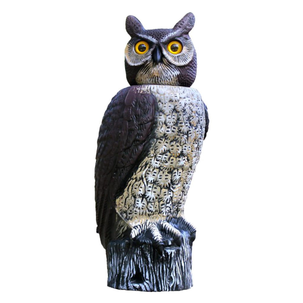 Dalen Solar-powered Owl Decoy With Rotating Head - 8