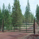 Powder River Classic 52" Gate With Lever Latch - 10'