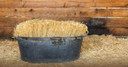 Standlee Premium Products Certified Chopped Straw Animal Bedding, 25 lb