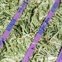 Standlee Premium Western Forage Alfalfa Grab & Go Compressed Hay Bale 50lb