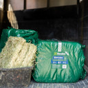 Standlee Premium Western Forage Timothy Grass Grab & Go Compressed Hay Bale 50 lb.