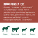 Standlee Premium Western Forage Alfalfa Orchard Grass Grab & Go Compressed Hay Bale 50 lb.