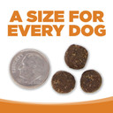 NutriSource Lamb Meal & Rice Formula Adult Dog Food