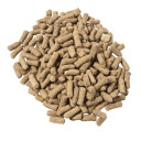 Renew Gold Stabilized Rice Bran Senior Horse Supplement - 30 lb