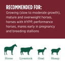 Standlee Premium Western Forage Orchard Grass Grab & Go Compressed Hay Bale 50 lb.