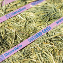 Standlee Premium Western Forage Orchard Grass Grab & Go Compressed Hay Bale 50 lb.