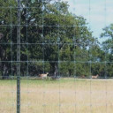 Solidlock High-Tensile Strength Fixed Knot Field Fence - 96" X 330'