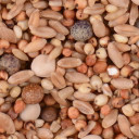 Winner's Cup 12% No Corn Pigeon Feed - 50 lb