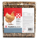 Purina Flock Block Chicken Supplement - 25 lb