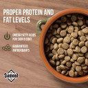 Diamond Hi-energy Sporting Formula Dry Dog Food - 50 lb