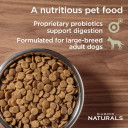 Diamond Naturals Large Breed Adult Chicken & Rice Formula Dry Dog Food - 40 Lb