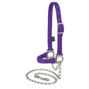 Weaver Leather Nylon Adjustable Sheep Halter with Chain Lead