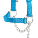 Weaver Leather Nylon Adjustable Sheep Halter with Chain Lead