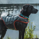Terrain Dog Gray & Orange Dog Swimming Vest - Medium