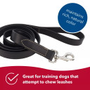 Coastal Pet Circle T Oak Tanned Leather Dog Leash - Black