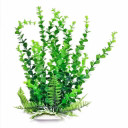 Aquatop Bacopa Aquarium Plant with Weighted Base - 6"