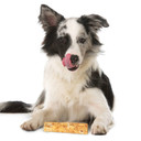 Fieldcrest Farms Nothin' to Hide Small Peanut Butter Roll Dog Chews - 5"