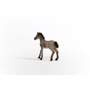 Schleich Criollo Definitive Foal Horse Toy