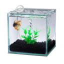 Aqueon Betta Filter With Natural Plant