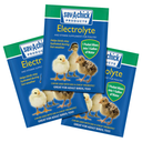 Sav-A-Chick Electrolyte & Vitamin Supplement - 0.25 oz