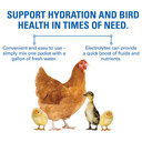 Sav-A-Chick Electrolyte & Vitamin Supplement - 0.25 oz